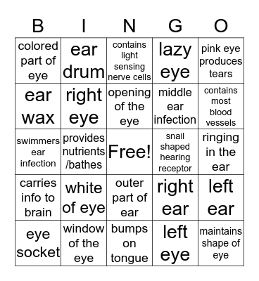 SPECIAL SENSES Bingo Card
