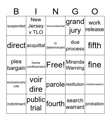 The Criminal Justice System Bingo Card