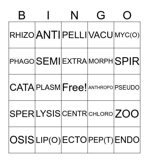 LATIN ROOTS Bingo Card