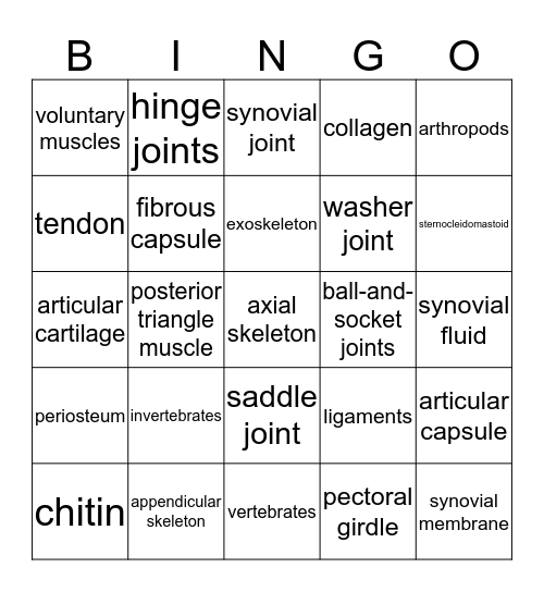 Skeletal Muscles Bingo Card