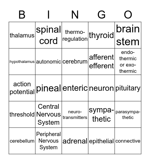 AP BIO NERVOUS/ENDOCRINE SYSTEMS Bingo Card