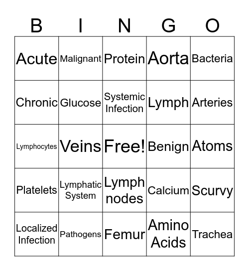 Lymphatic System and more Bingo Card