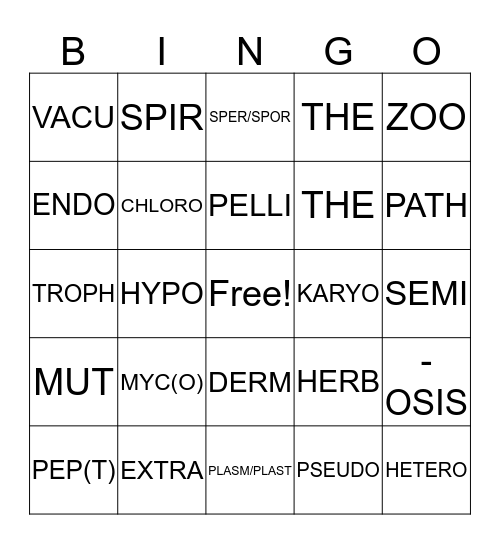 LATIN ROOTS Bingo Card