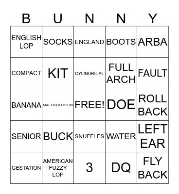 LEARNING ABOUT RABBITS Bingo Card