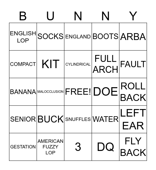 LEARNING ABOUT RABBITS Bingo Card