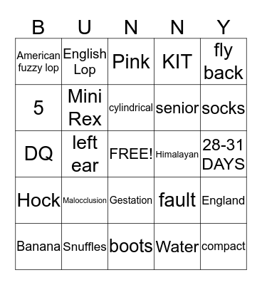LEARNING ABOUT RABBITS Bingo Card