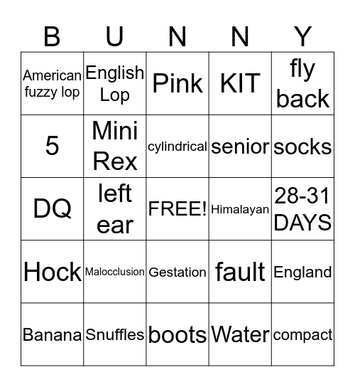 LEARNING ABOUT RABBITS Bingo Card