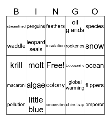 Penguins Bingo Card