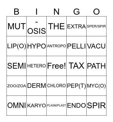 LATIN ROOTS Bingo Card