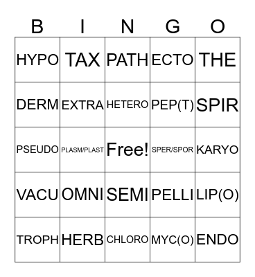 LATIN ROOTS Bingo Card