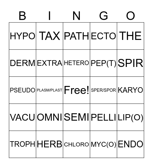 LATIN ROOTS Bingo Card