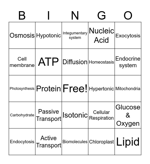 Bio Bingo Card