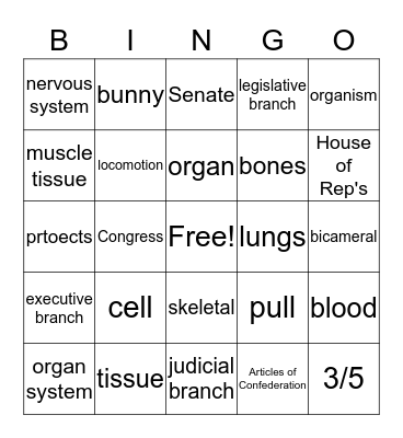 Science & SS Review Bingo Card