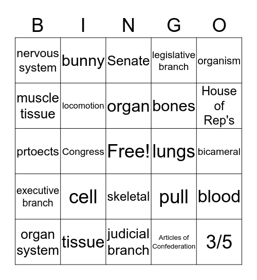 Science & SS Review Bingo Card