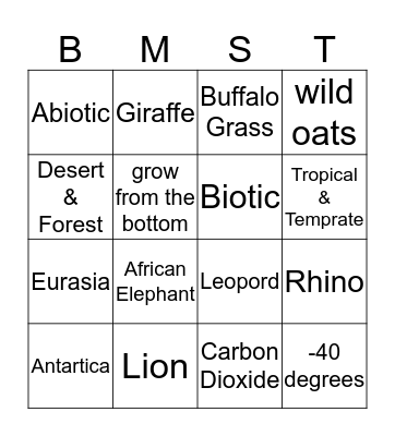The grasslands Bingo Card