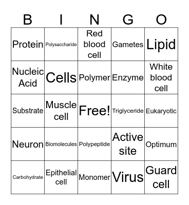 Bio Bingo 1 Bingo Card