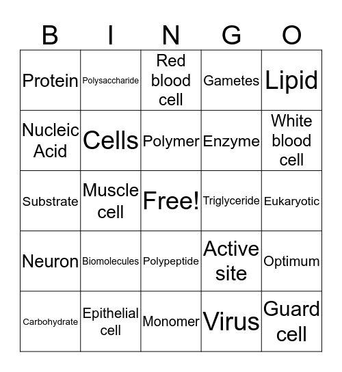 Bio Bingo 1 Bingo Card