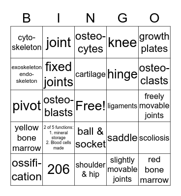 BIOLOGY Skeletal System Bingo Card