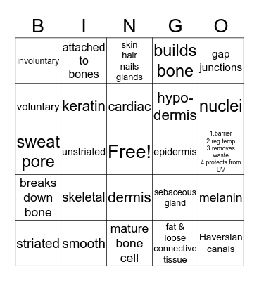 BIOLOGY Muscular & Integumentary Bingo Card