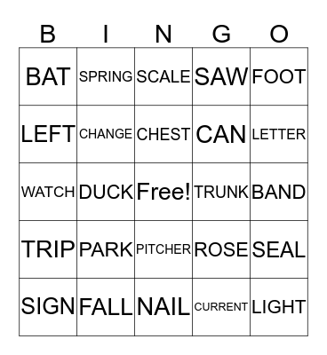 Homonym Bingo Card