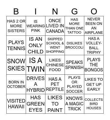 ICEBREAKER BINGO Card