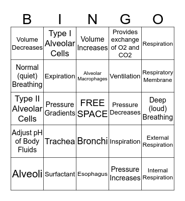 BS114 - Respiratory System Bingo Card