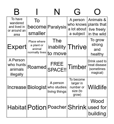 Into the Wilderness Bingo Card