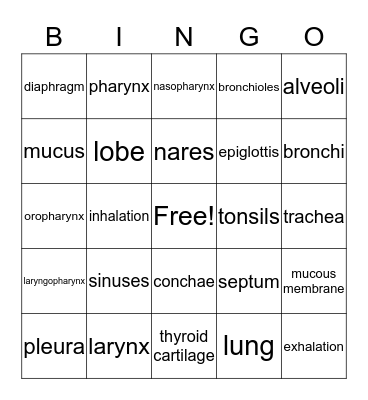 Respiratory System Bingo Card