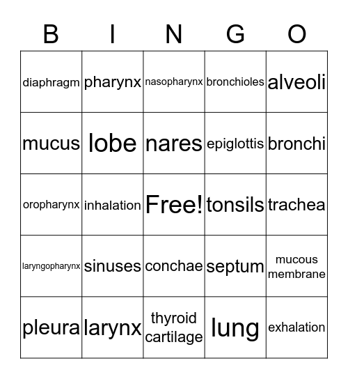 Respiratory System Bingo Card