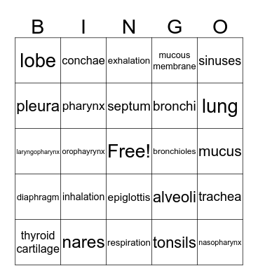 Respiratory System Bingo Card