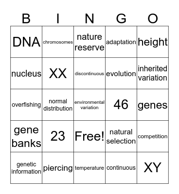 Genes and evolution Bingo Card