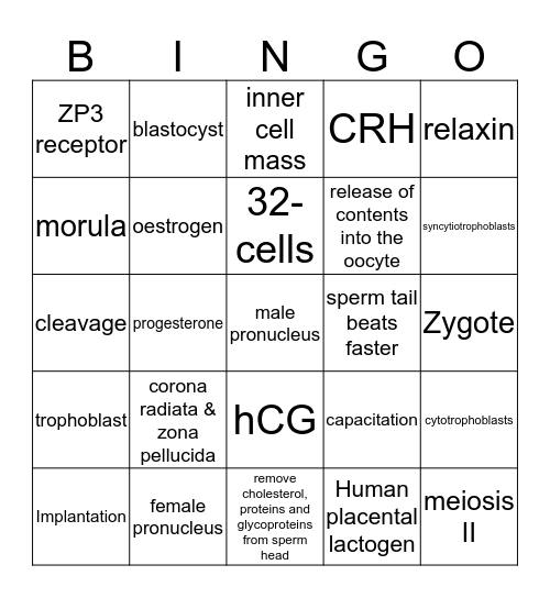 FERTILISATION IS FUN Bingo Card