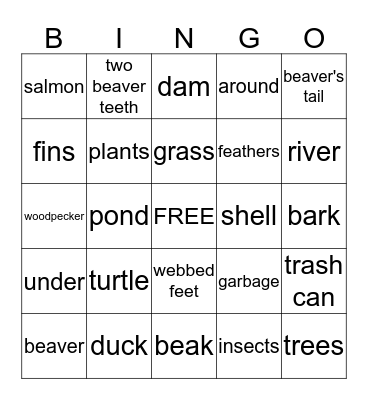 Kinders Ecology Bingo Card