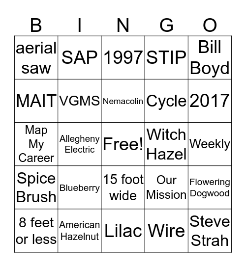 TVM Bingo! Bingo Card