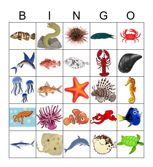 Cret@quarium Bingo Card