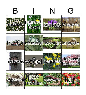 lentebingo Card