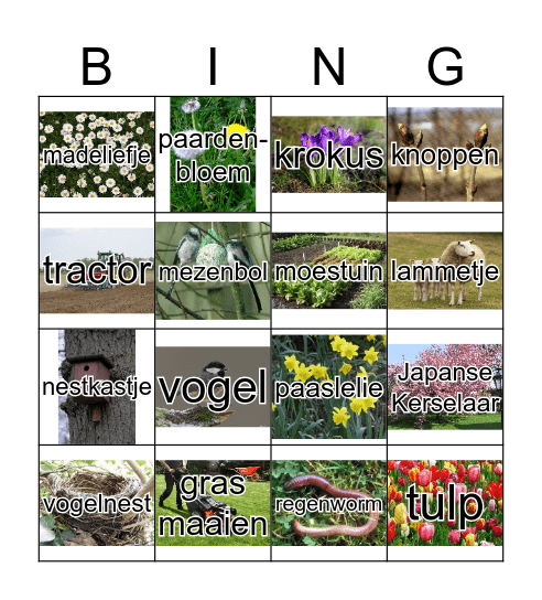 lentebingo Card