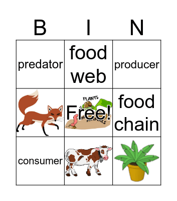 Plants and Animals Vocabulary Bingo Card