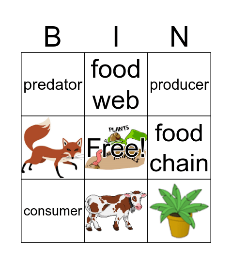 Plants and Animals Vocabulary Bingo Card