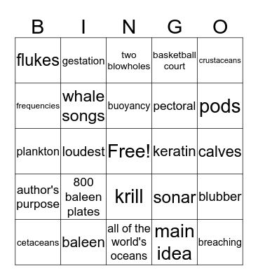 Blue Whales:  Giant Mammals Bingo Card