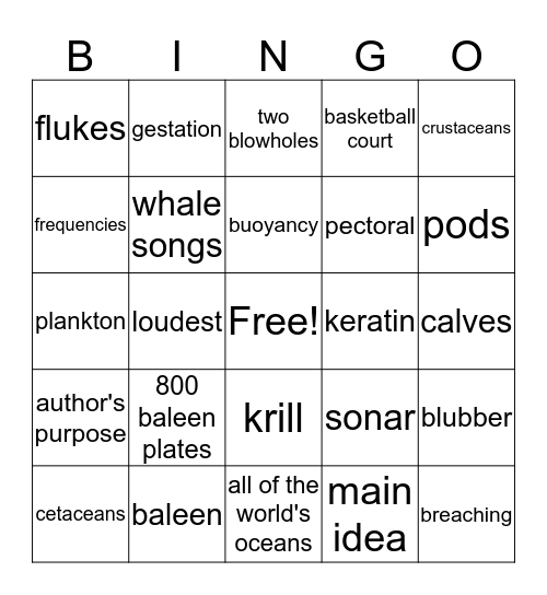 Blue Whales:  Giant Mammals Bingo Card