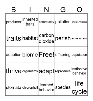 Physical Science Vocabulary Bingo Card