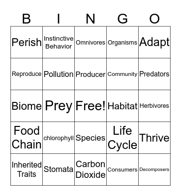 Life Science Vocabulary Bingo Card