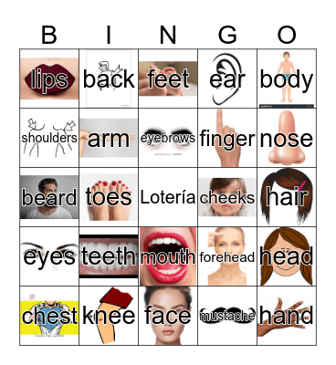 Partes Del Cuerpo Bingo Card