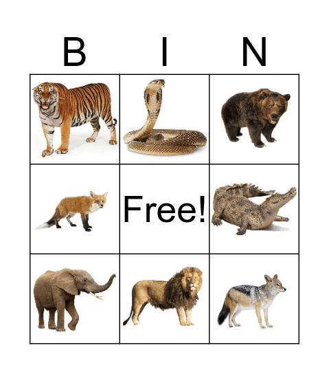 కృర జంతువులు Bingo Card