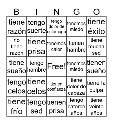 Idioms with Tener Bingo Card