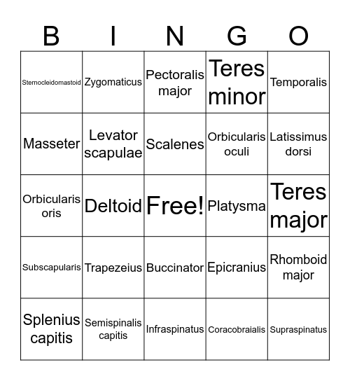 Musco  Bingo Card