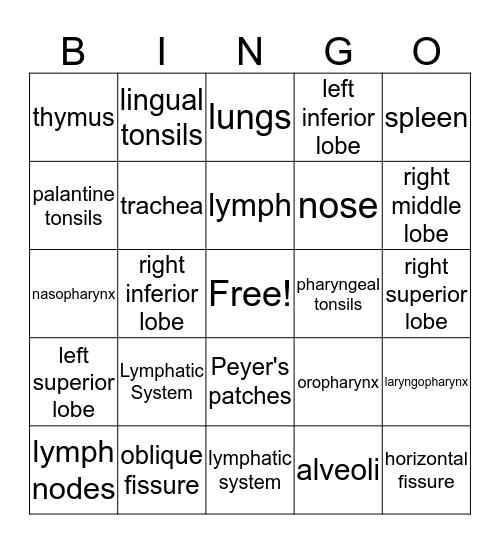 Lymphatic and Respiratory Systems Bingo Card