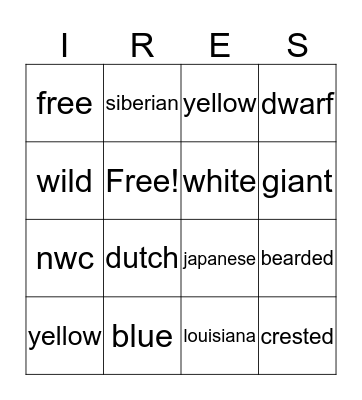 NWC Iris Award Bingo Card