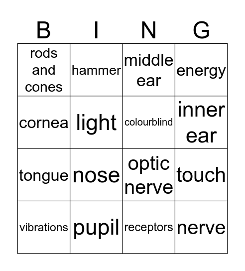 The Senses Bingo Card